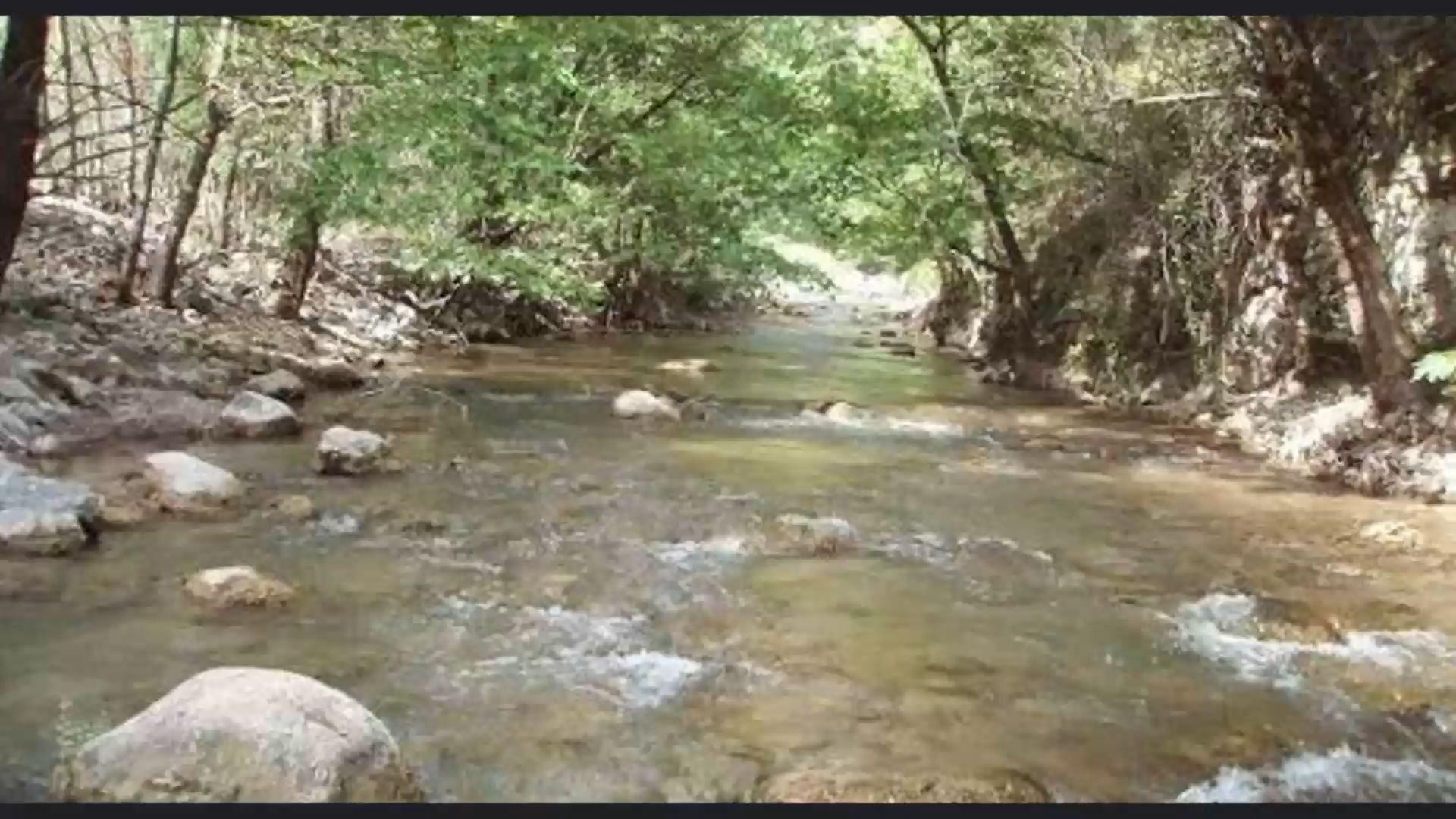 Ορειβατικός-Σύλλογος-Καρπενησίου-κάθετα-αντίθετος-στην-εκτροπή-ποταμών