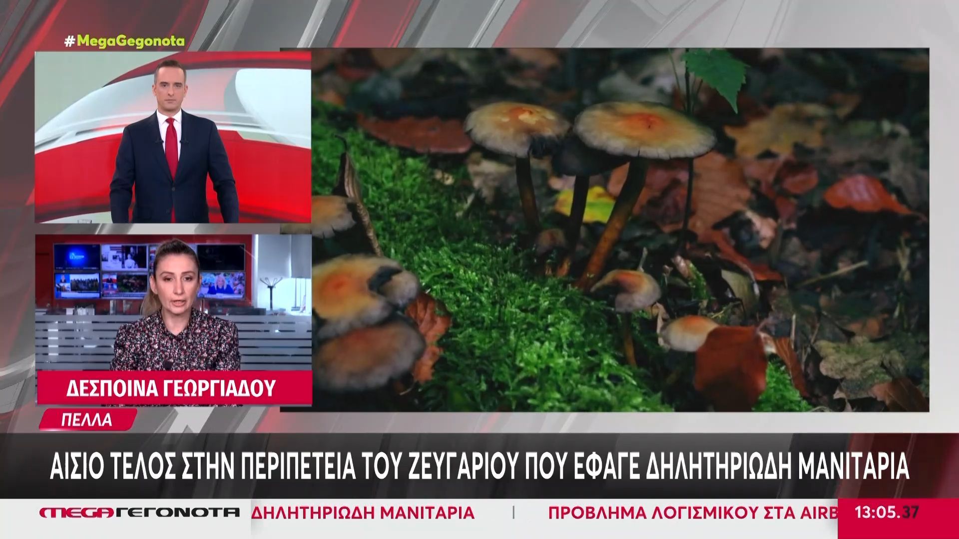 Πέλλα: Αίσιο τέλος στην περιπέτεια του ζευγαριού που έφαγε δηλητηριώδη μανιτάρια