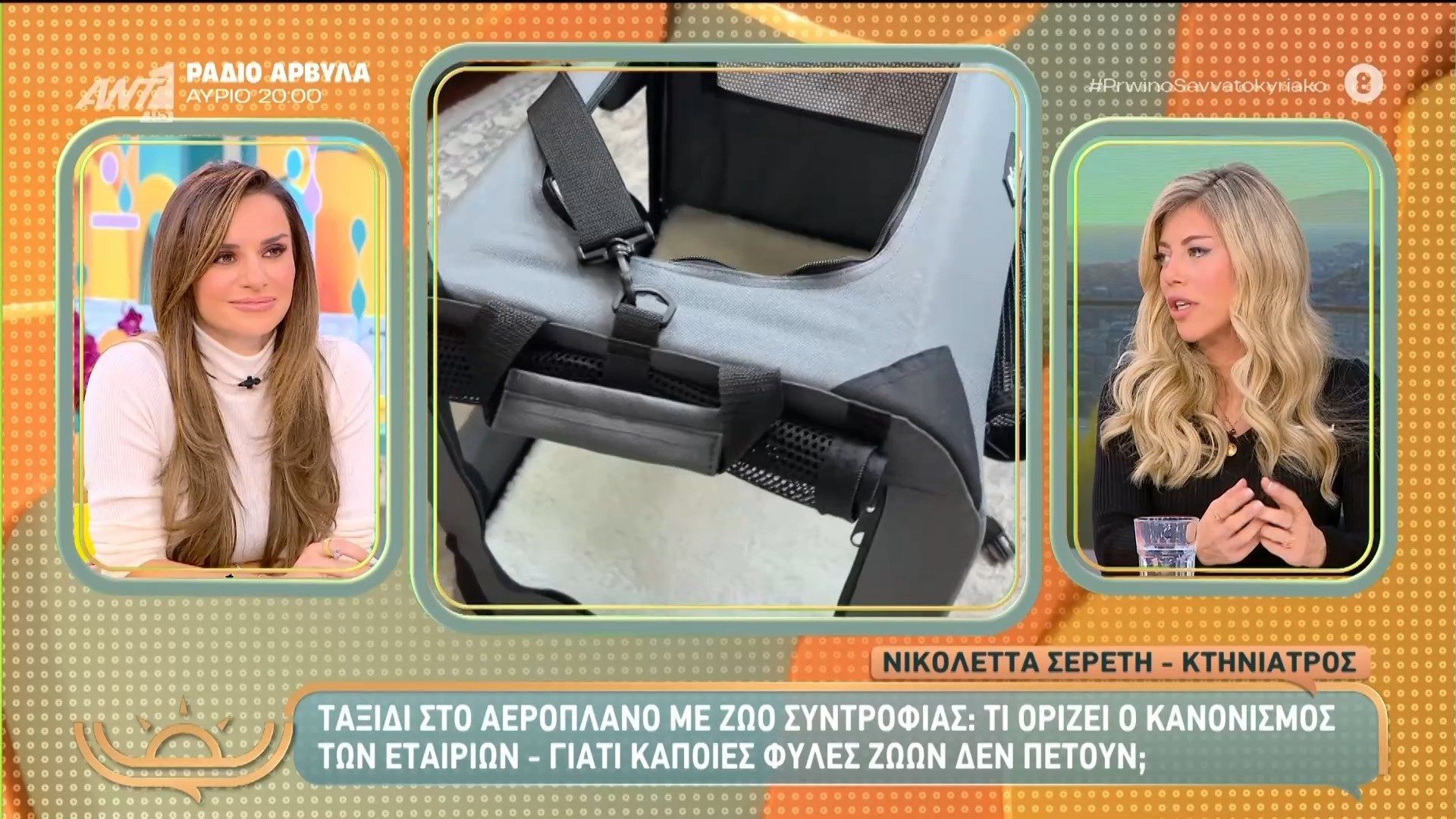 Ταξίδι-στο-αεροπλάνο-με-ζώο-συντροφιάς-Τι-ορίζει-ο-κανονισμός-των-εταιριών-–-Πρωινό-Σαββατοκύριακο-–-09112025