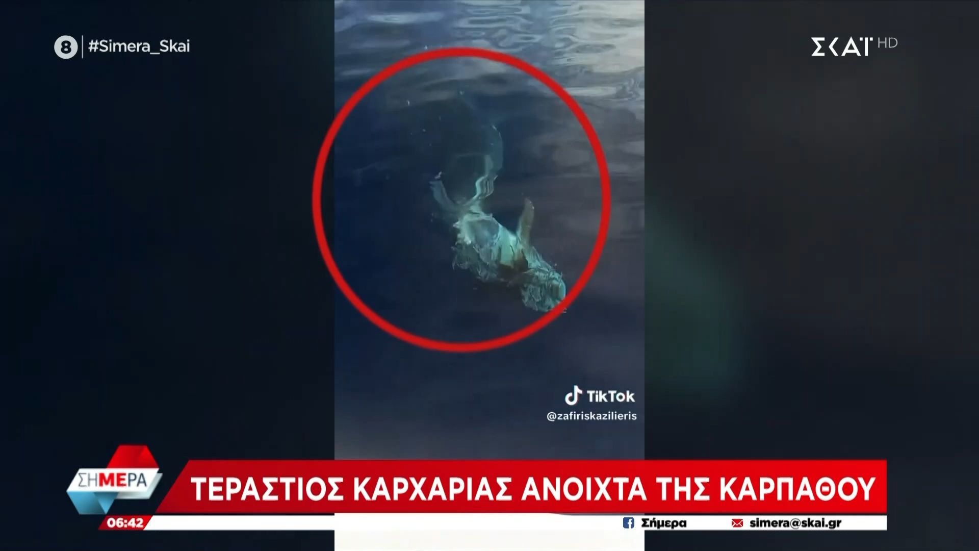 Τεράστιος-Καρχαρίας-ανοιχτά-της-Καρπάθου