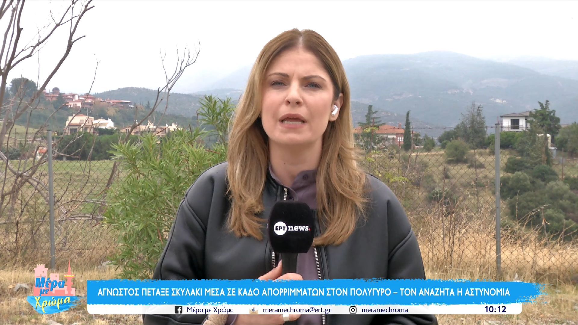 Χαλκιδική-Άγνωστος-πέταξε-σκυλάκι-μέσα-σε-κάδο-απορριμμάτων-Τον-αναζητά-η-αστυνομία