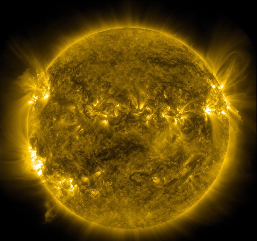 11004564-e1762931484602