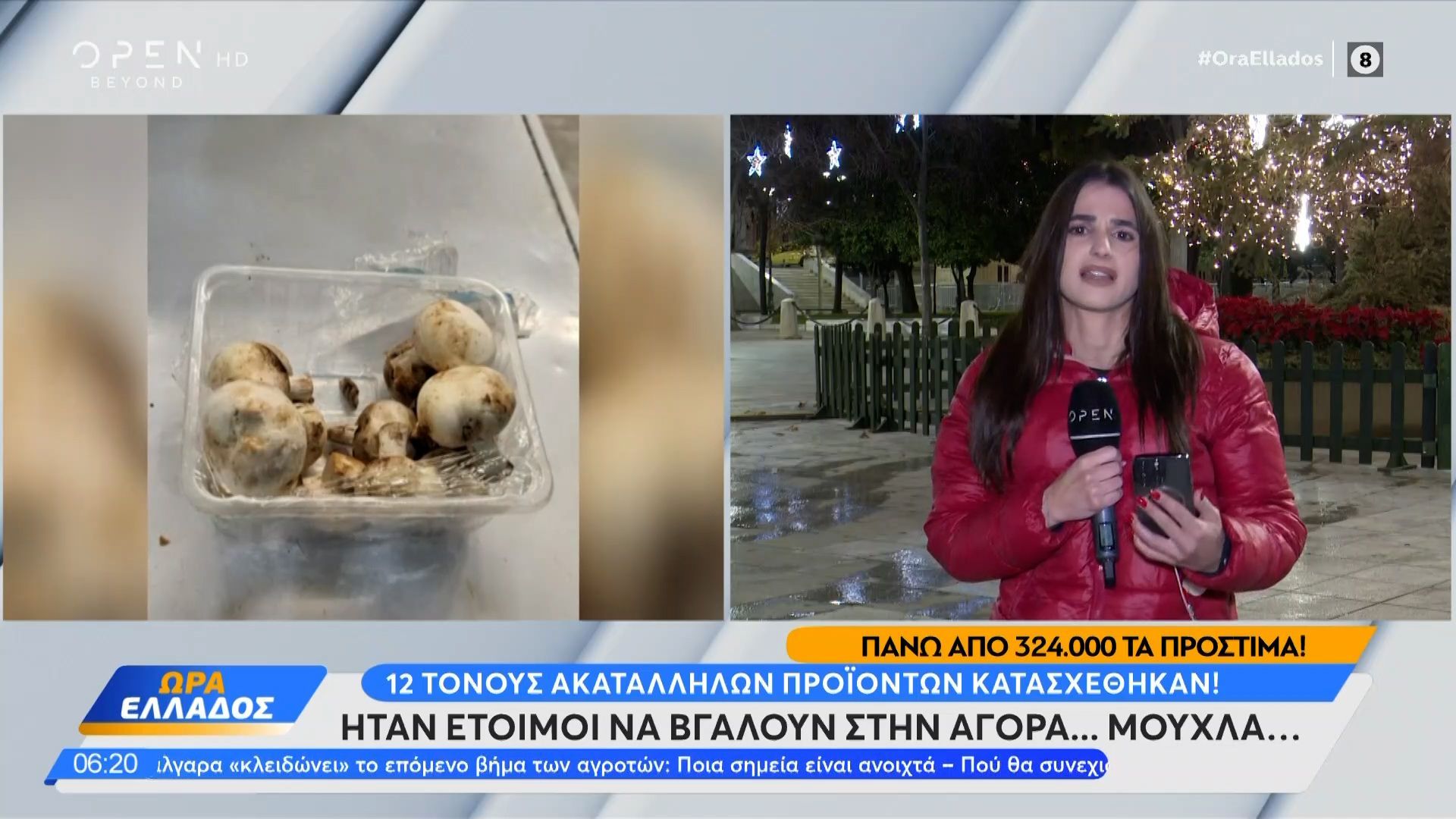 12-tonoys-akatallilon-proionton-kataschethikan-1767167624