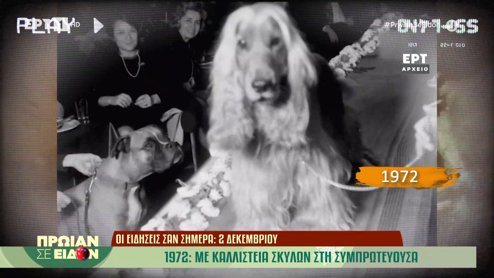 2 Δεκεμβρίου 1972 | Με καλλιστεία σκύλων στη συμπρωτεύουσα