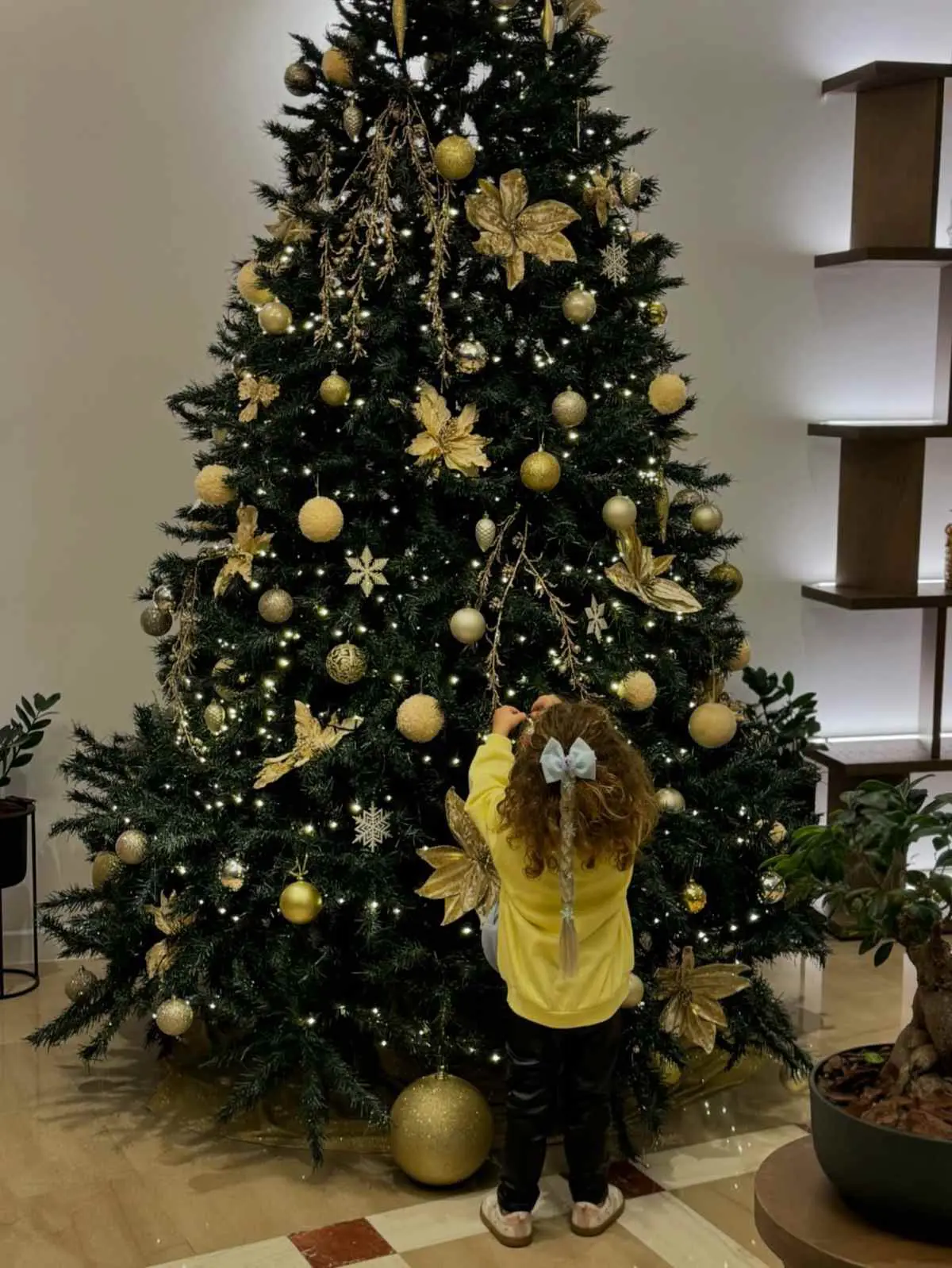 Η κόρη της Ιωάννας Μαλέσκου