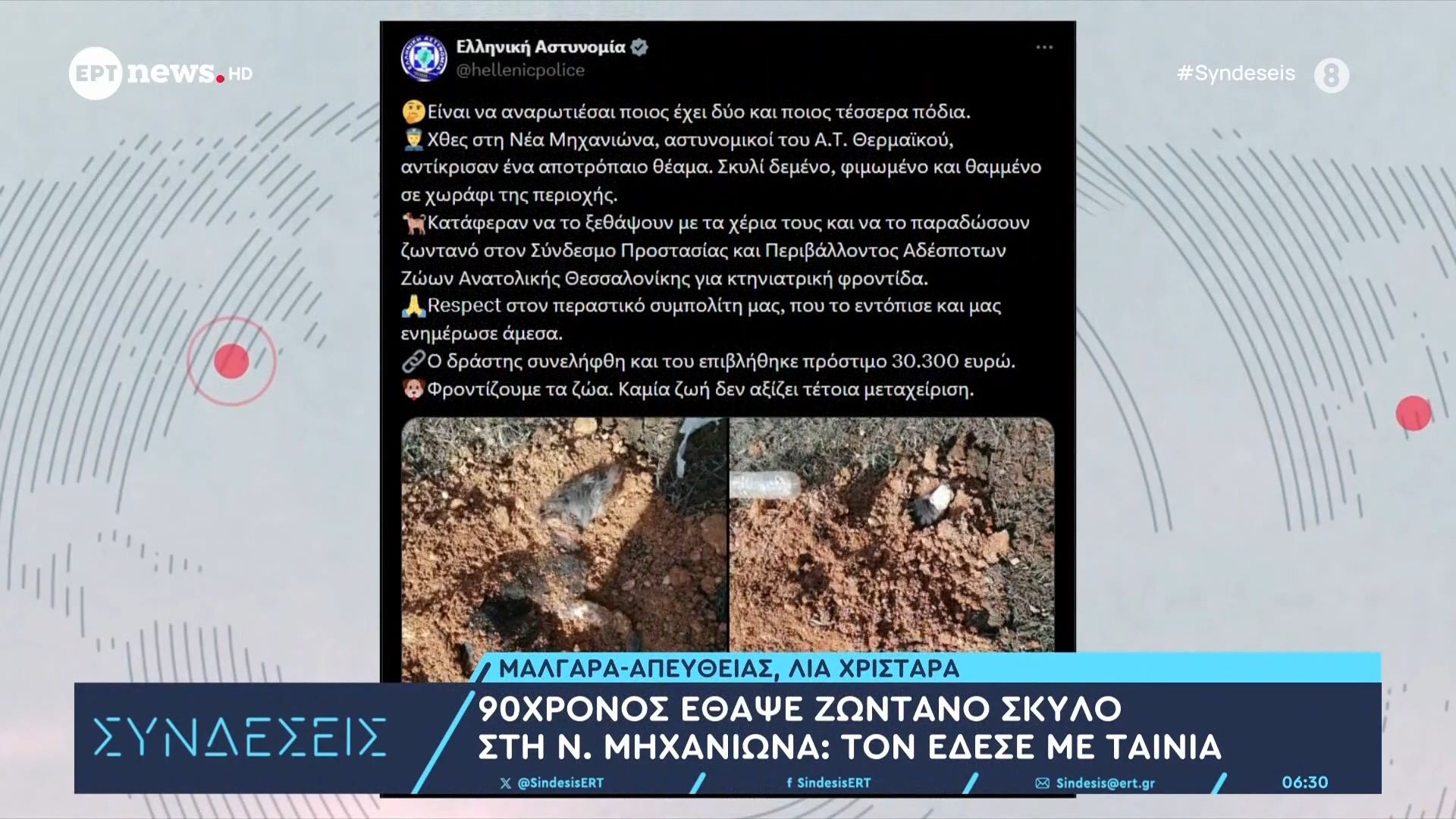 90chronos-ethapse-zontano-skylo-sti-n-michaniona-ton-edese-me-tainia-1765521941