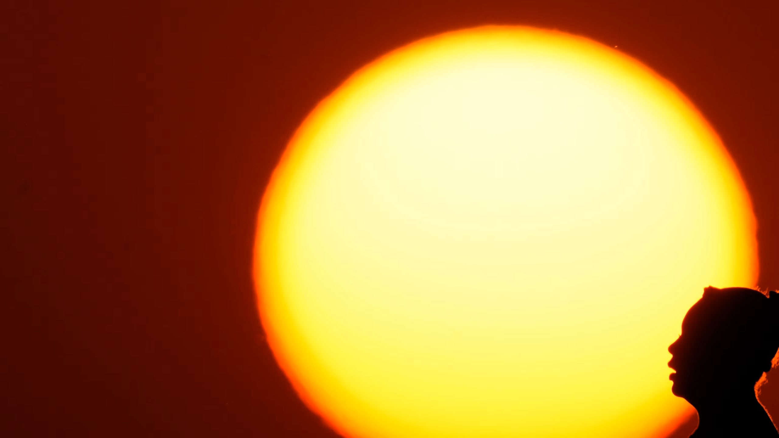 AP24156119730800-scaled