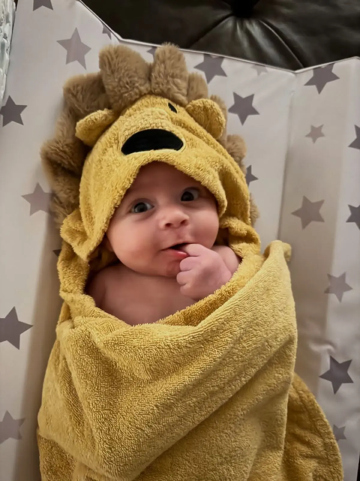 Δώρα Παντέλη: «Η χρονιά που η ζωή μου μεταμορφώθηκε για πάντα» – Αναπολεί το 2025 λίγο πριν το κλείσιμό του 27 Η αναδρομή που έκανε η Δώρα Παντέλη