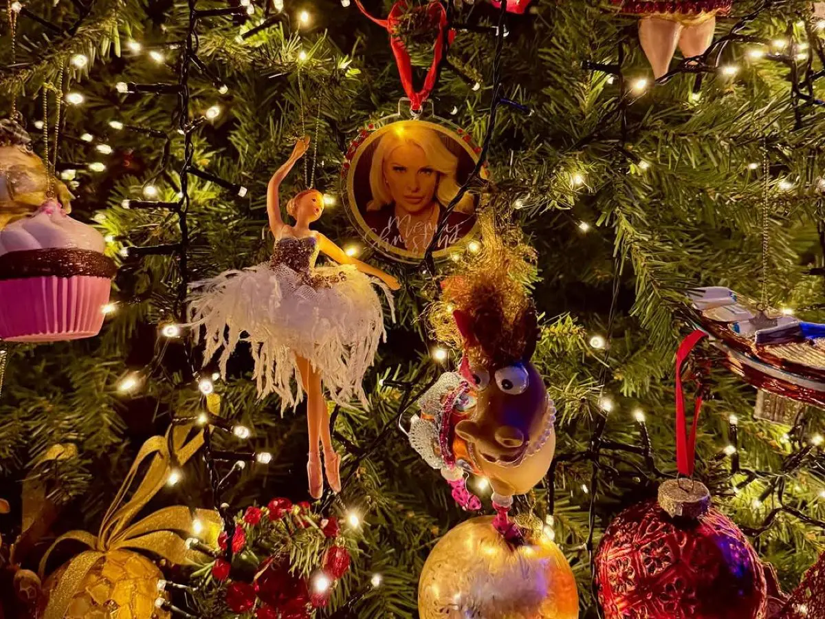 Ελένη Μενεγάκη – Φωτογραφίζεται μπροστά στο χριστουγεννιάτικο δέντρο και ανυπομονεί για τις γιορτές 7 Η Ελένη Μενεγάκη μπροστά στο Χριστουγεννιάτικο δέντρο