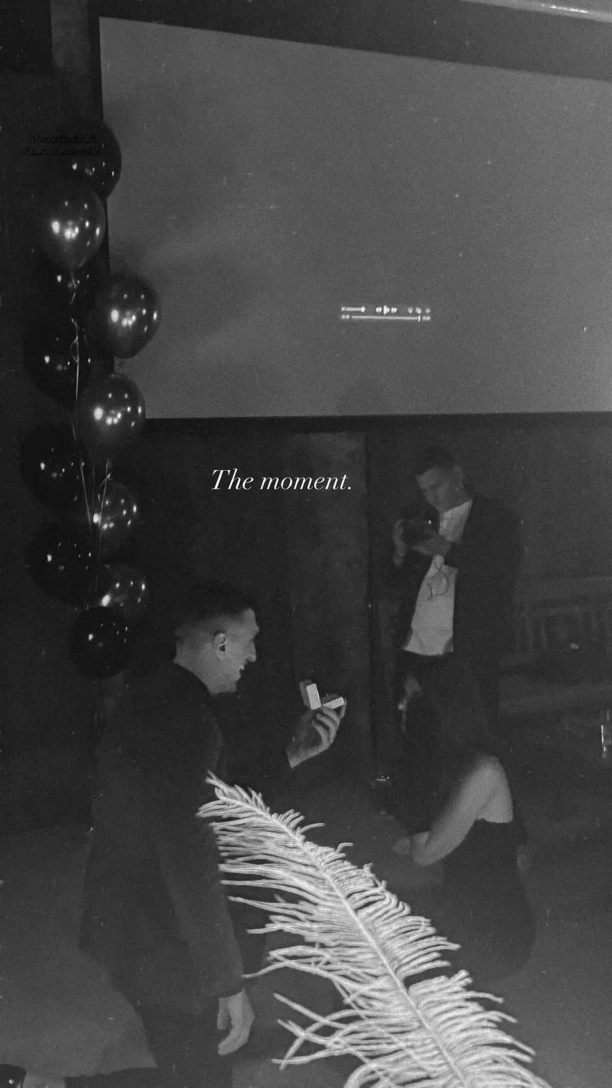 Η πρόταση γάμου που έκανε ο Γιαννούλης Λαρεντζάκης