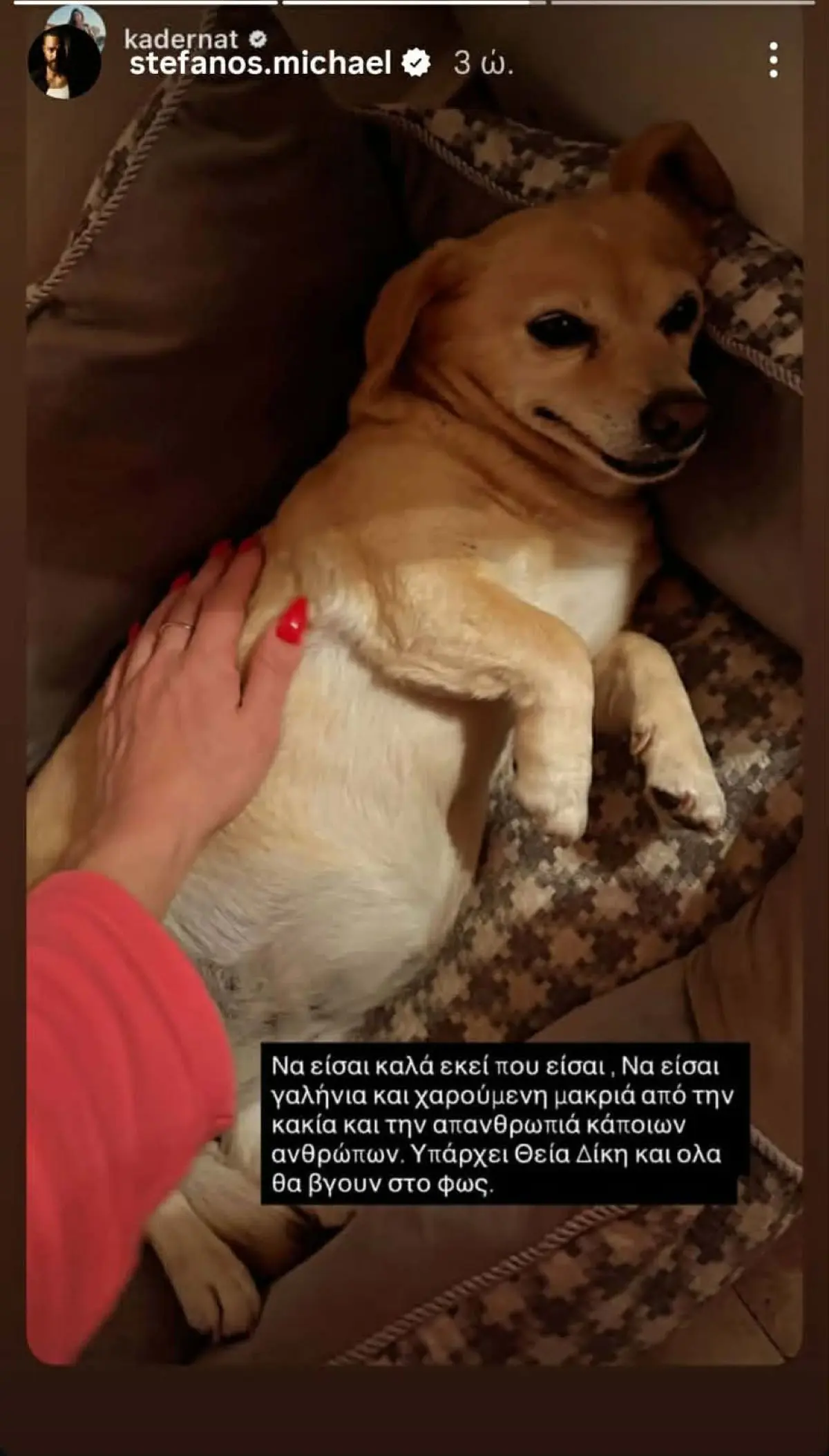 Στέφανος Μιχαήλ & Νάταλι Κάτερ – Δηλητηρίασαν το σκυλάκι τους: «Η Θεία Δίκη θα αποκαλύψει την αλήθεια» 5 Το story που έκανε ο Στέφανος Μιχαήλ και η Νάταλι Κάτερ