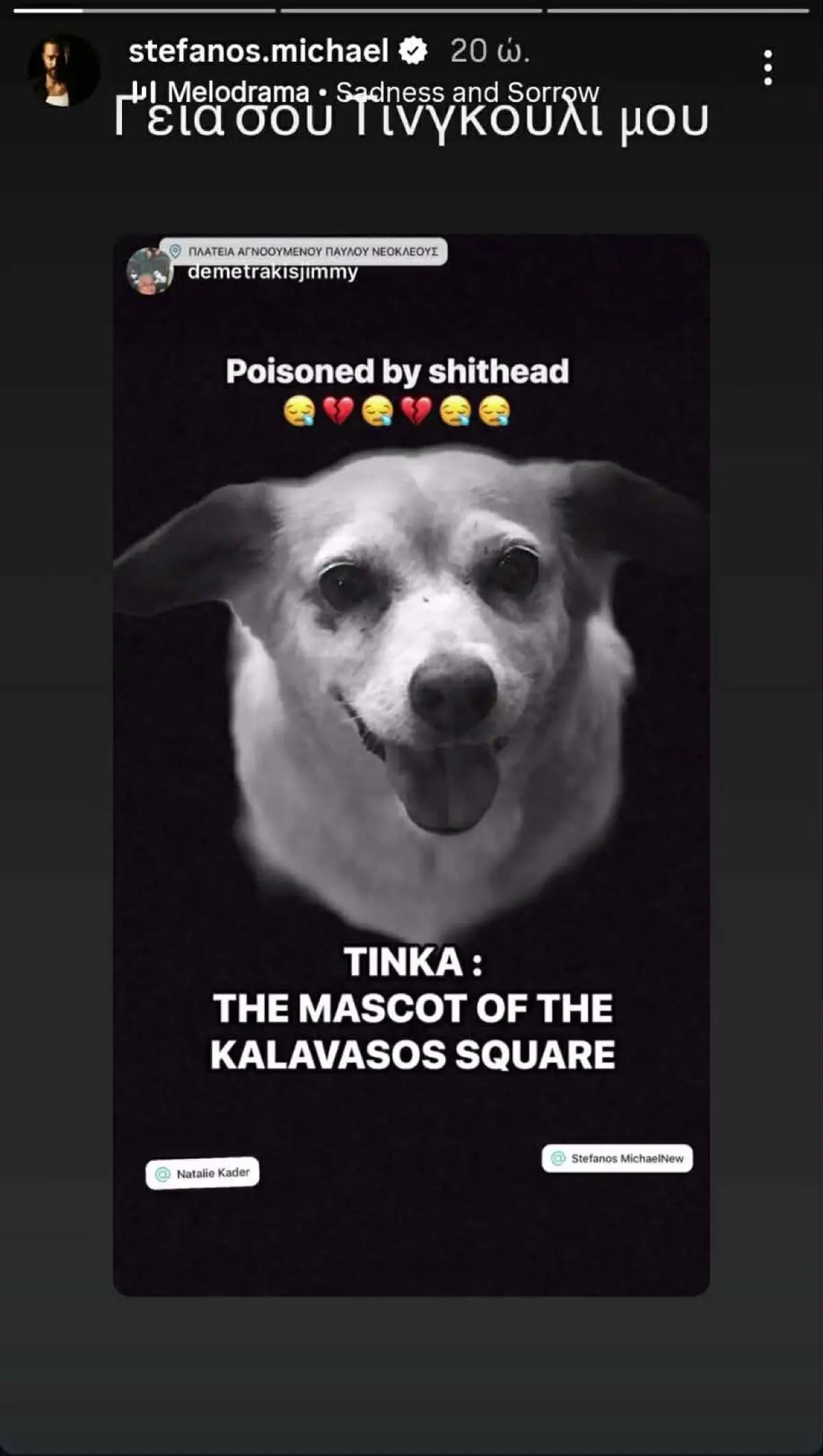 Στέφανος Μιχαήλ & Νάταλι Κάτερ – Δηλητηρίασαν το σκυλάκι τους: «Η Θεία Δίκη θα αποκαλύψει την αλήθεια» 4 Το story που έκανε ο Στέφανος Μιχαήλ