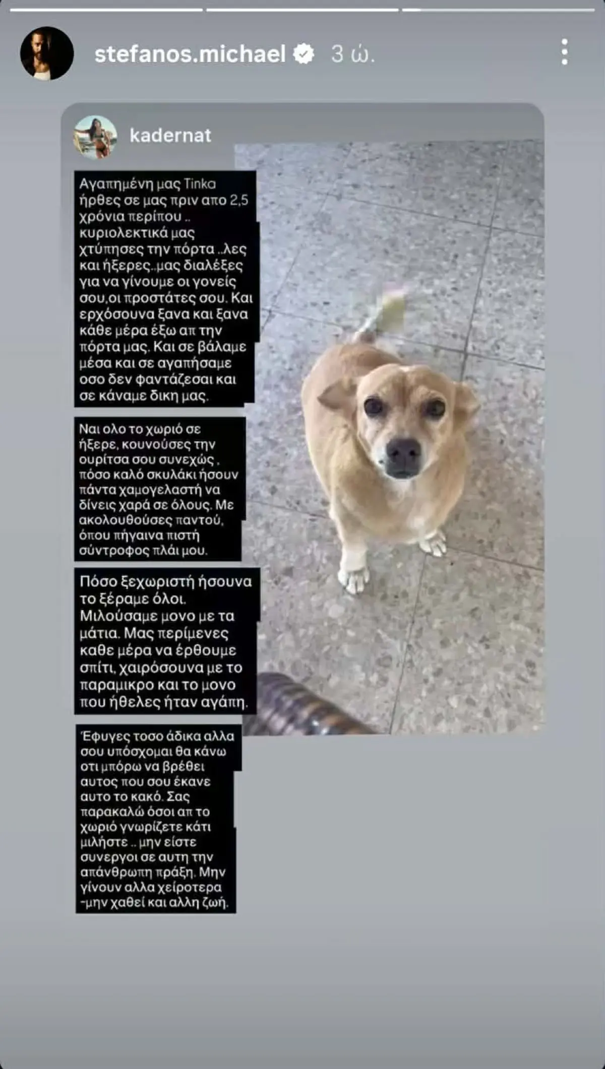 Στέφανος Μιχαήλ & Νάταλι Κάτερ – Δηλητηρίασαν το σκυλάκι τους: «Η Θεία Δίκη θα αποκαλύψει την αλήθεια» 6 Το story που έκανε ο Στέφανος Μιχαήλ και η Νάταλι Κάτερ