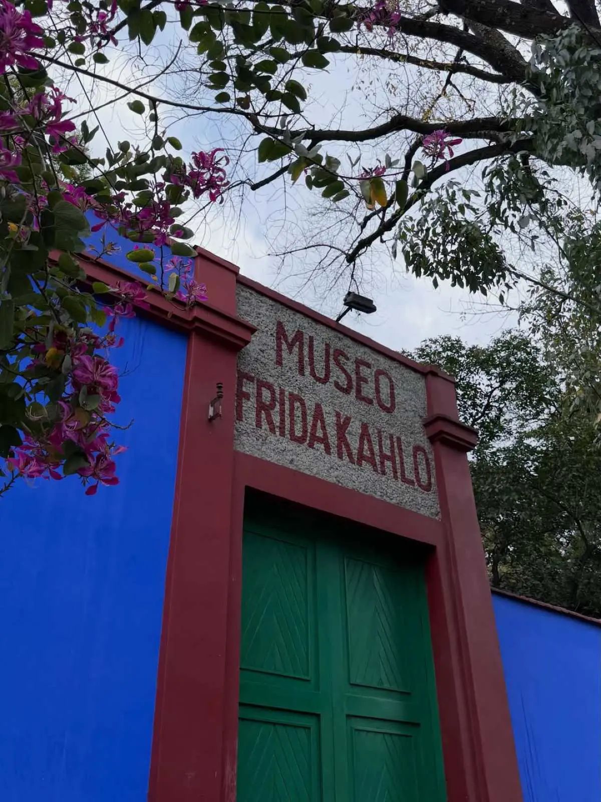 Ιωάννα Τούνη – Το φωτογραφικό ημερολόγιο από την περιπέτειά της στο Μεξικό 24 Η Ιωάννα Τούνη στο Μεξικό