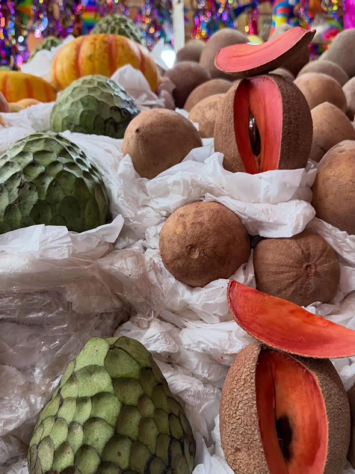 Ιωάννα Τούνη – Το φωτογραφικό ημερολόγιο από την περιπέτειά της στο Μεξικό 25 Η Ιωάννα Τούνη στο Μεξικό