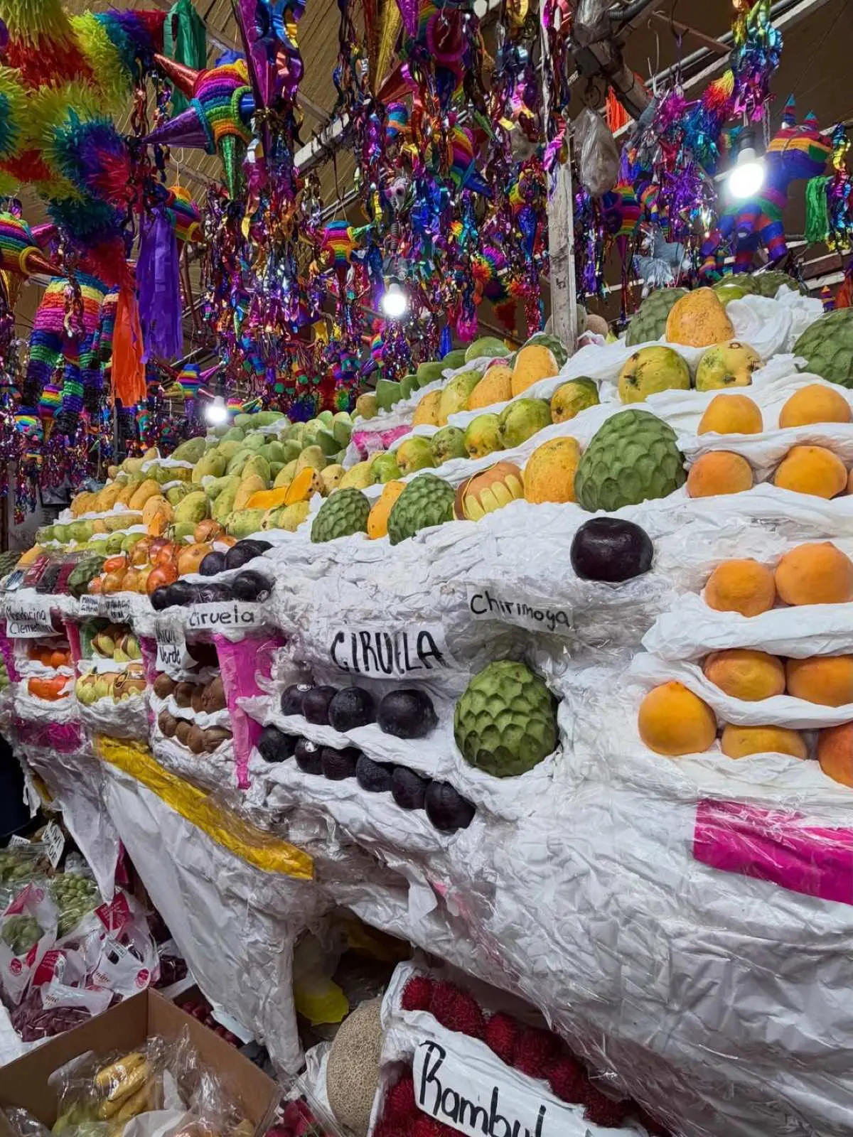 Ιωάννα Τούνη – Το φωτογραφικό ημερολόγιο από την περιπέτειά της στο Μεξικό 26 Η Ιωάννα Τούνη στο Μεξικό