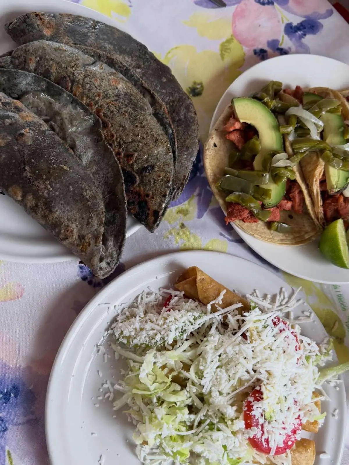 Ιωάννα Τούνη – Το φωτογραφικό ημερολόγιο από την περιπέτειά της στο Μεξικό 27 Η Ιωάννα Τούνη στο Μεξικό