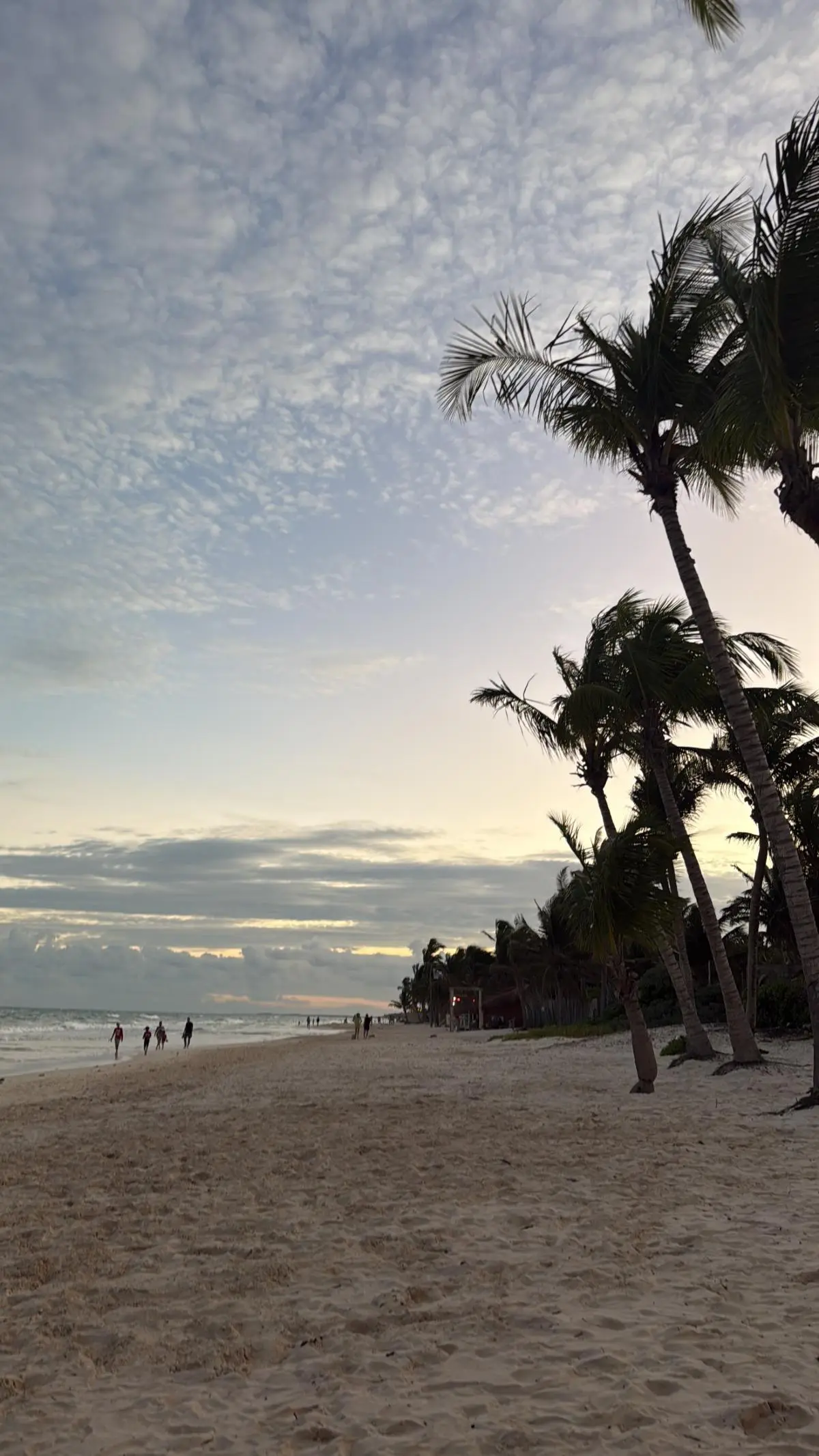 Ο Κωνσταντίνος Βασάλος και η Δανάη Βαρθολομάτου στο Μεξικό