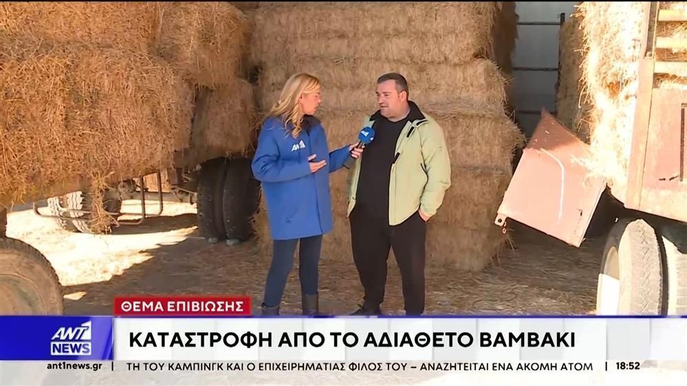 agrotes-ston-ant1-vlepoyme-kathe-mera-ta-oneira-mas-na-metatrepontai-se-efialti-1765399945