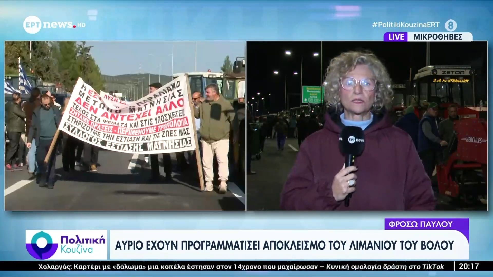 agrotikes-kinitopoiiseis-mikrothives-oloklirothike-i-syskepsi-ton-agroton-tis-thessalias-1765305147