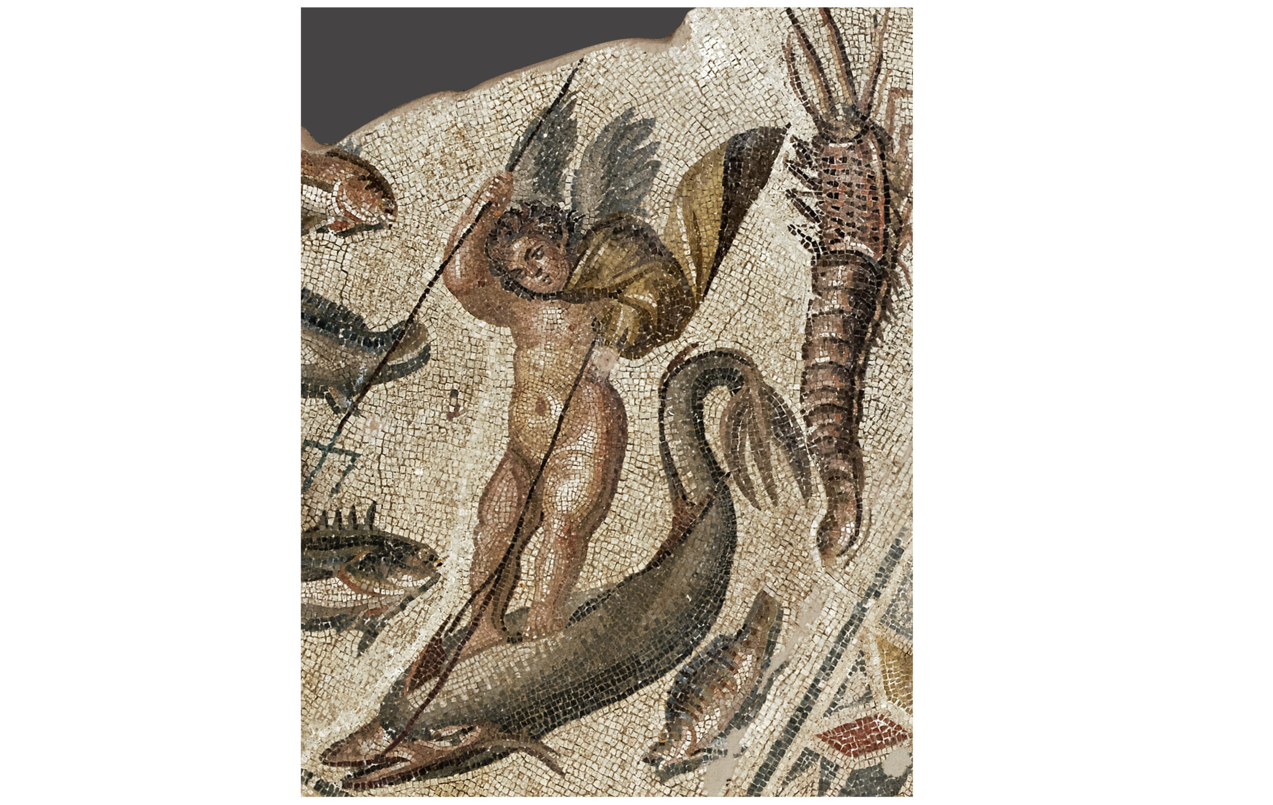 Η LAMDA Development αποκάλυψε τον 24ο τόμο της σειράς «Ο Κύκλος των Μουσείων» στο Αρχαιολογικό Μουσείο Πατρών 7 Η LAMDA Development αποκάλυψε τον 24ο τόμο της σειράς «Ο Κύκλος των Μουσείων» στο Αρχαιολογικό Μουσείο Πατρών