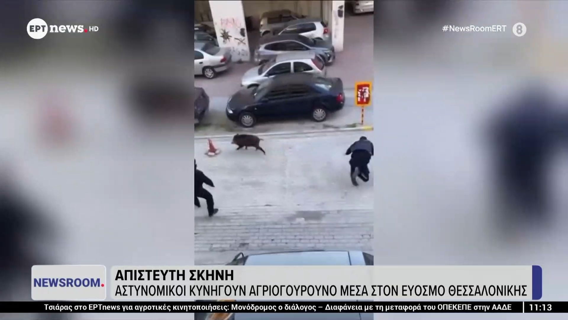 apisteyti-skini-astynomikoi-kynigoyn-agriogoyroyno-mesa-ston-eyosmo-thessalonikis-1765790795