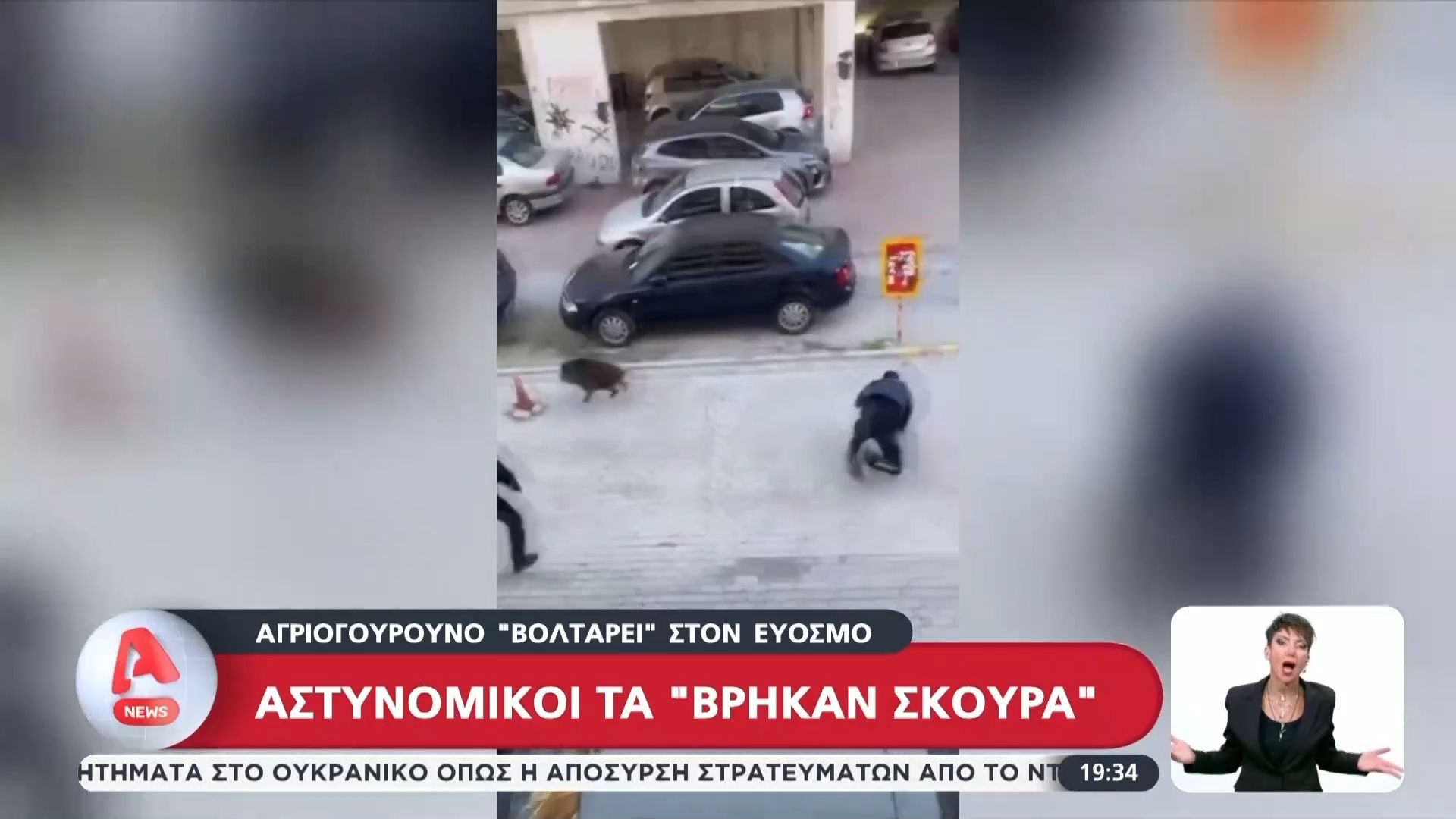 astynomikoi-ta-vrikan-skoyra-me-agriogoyroyno-poy-voltare-ston-eyosmo-1765820952