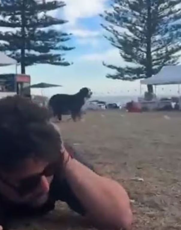 Σίδνεϊ: Αφοσιωμένος σκύλος παρέμεινε δίπλα στον νεκρό ιδιοκτήτη του μετά την επίθεση – Δείτε το συγκλονιστικό βίντεο 2 Σίδνεϊ: Αφοσιωμένος σκύλος παρέμεινε δίπλα στον νεκρό ιδιοκτήτη του μετά την επίθεση – Δείτε το συγκλονιστικό βίντεο