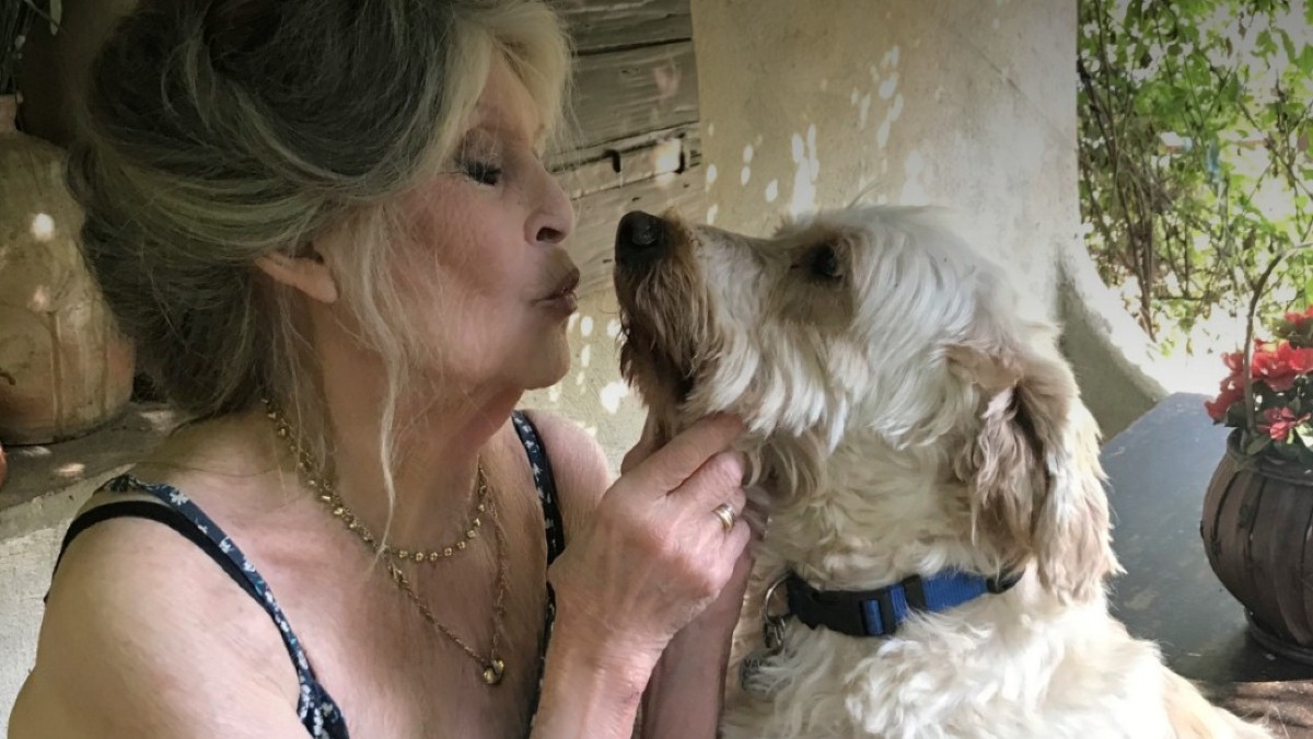 Μπριζίτ Μπαρντό: Η επίσημη δήλωση για τον θάνατό της