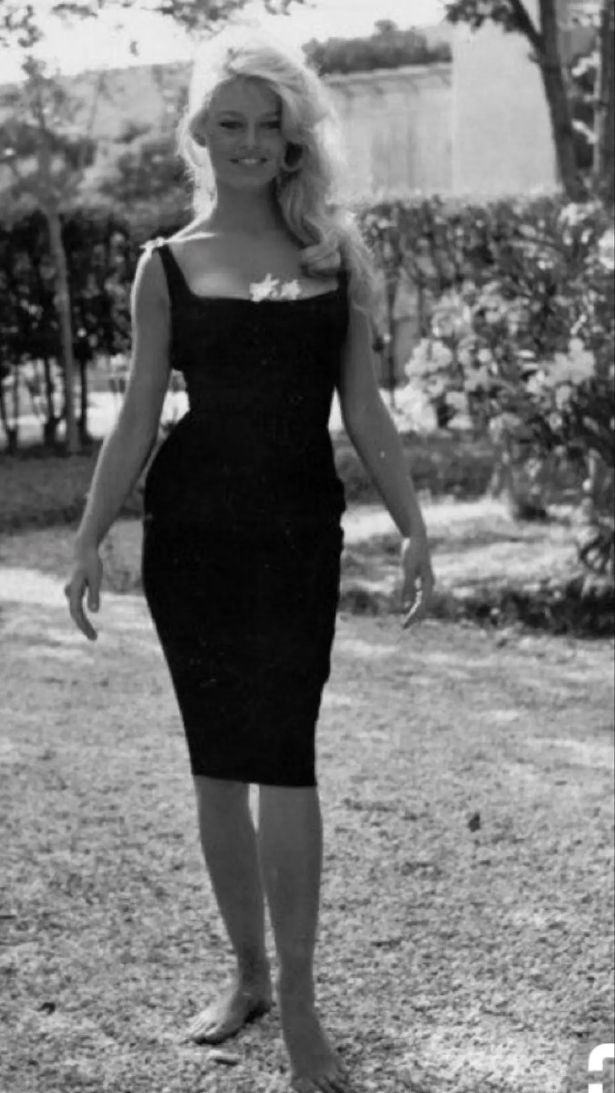 Μπριζίτ Μπαρντό