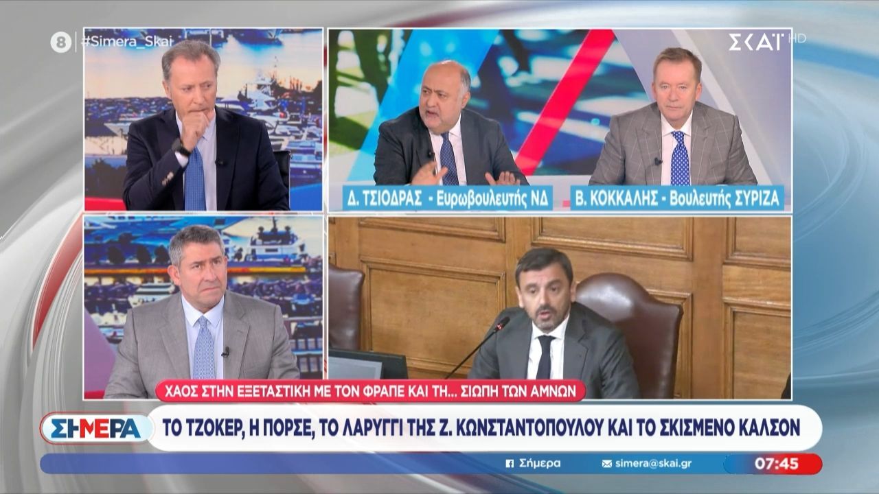 Δ. Τσιόδρας: «Φανταστείτε να έλεγε κάποιος στην Κωνσταντοπούλου “Μη σκήσεις κανένα καλτσόν”…»