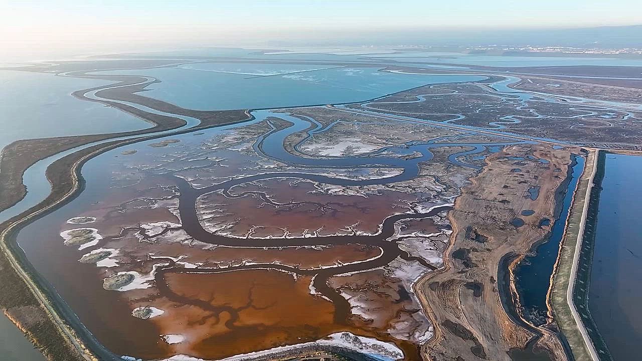 Drone αποκαλύπτει τα εντυπωσιακά ροζ αλατοπήγια του Alviso Park στην Καλιφόρνια