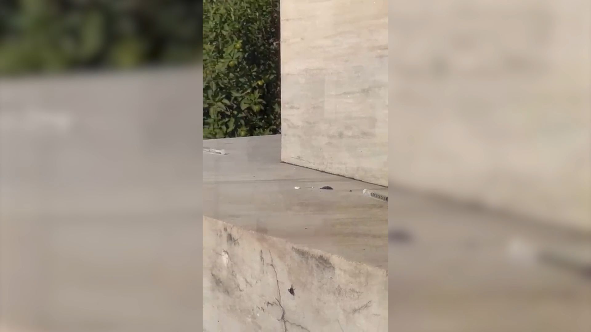 Ένας από τους κορυφαίους τουριστικούς προορισμούς, τα «Προπύλαια», είναι πνιγμένος στις χρησιμοποιημένες σύριγγες από χρήση ναρκωτικών