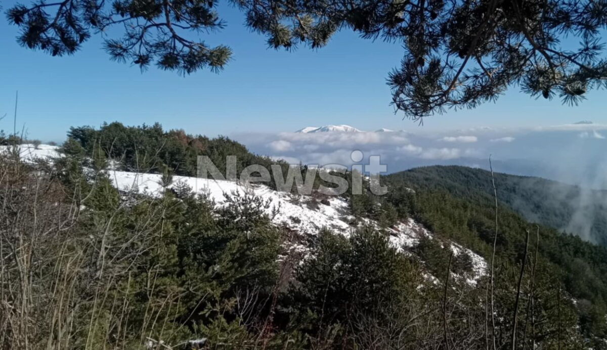 Σέρρες: Το όχημα που εντοπίστηκε στο όρος Μπέλλες δεν είναι του 45χρονου διοικητή της πυροσβεστικής Άνω Ποροΐων 8 Άκαρπες οι έρευνες για τον εντοπισμό του διοικητή της πυροσβεστικής των Άνω Ποροΐων