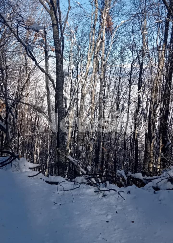 Σέρρες: Το όχημα που εντοπίστηκε στο όρος Μπέλλες δεν είναι του 45χρονου διοικητή της πυροσβεστικής Άνω Ποροΐων 12 Η περιοχή όπου διεξάγονται οι έρευνες είναι δύσβατη