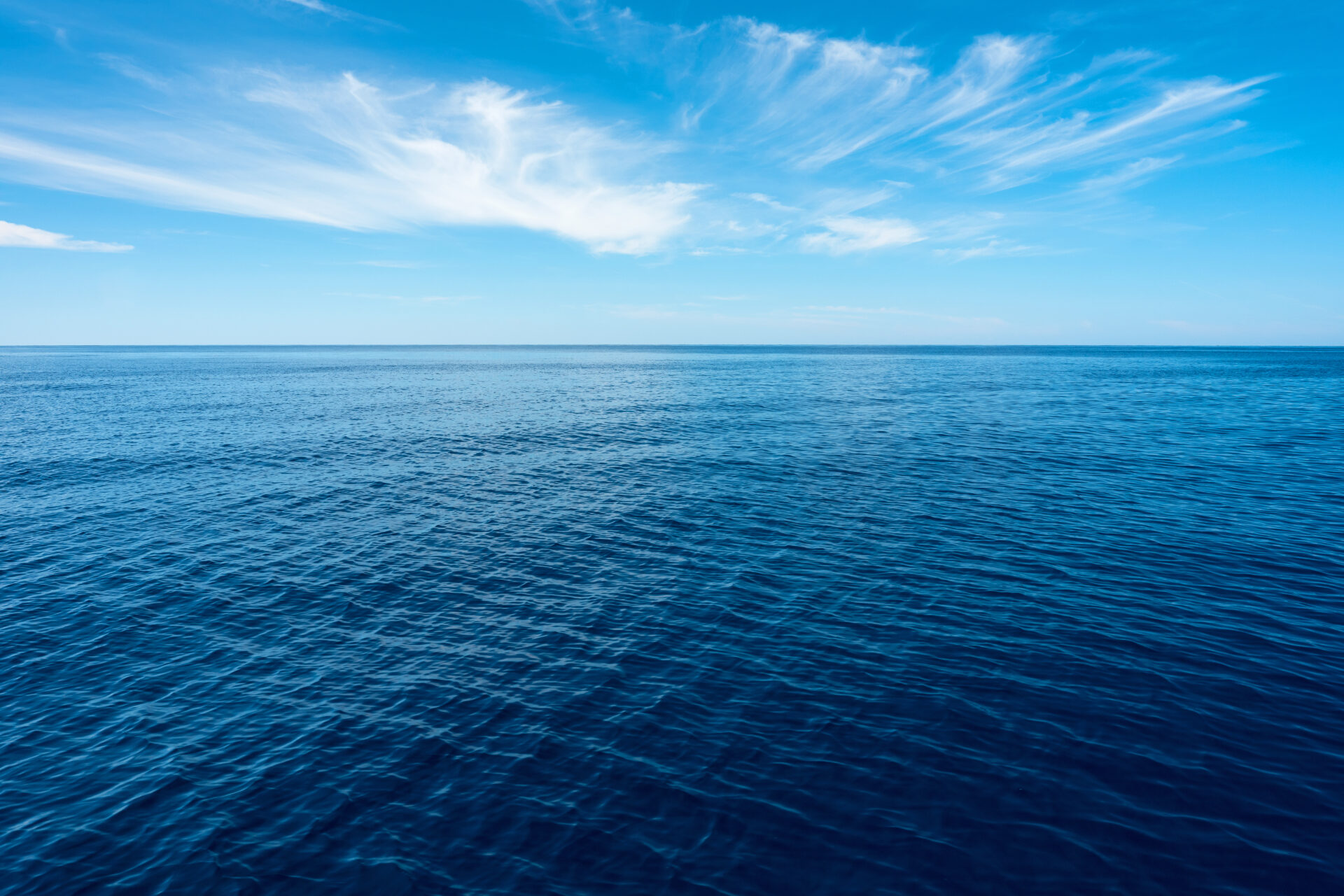 Εγκρίθηκαν οι οικολογικές μελέτες για τα θαλάσσια πάρκα Ιονίου και Νοτίου Αιγαίου 1 – Παπασταύρου: Καθοριστικό βήμα για τη διαφύλαξη του θαλάσσιου πλούτου