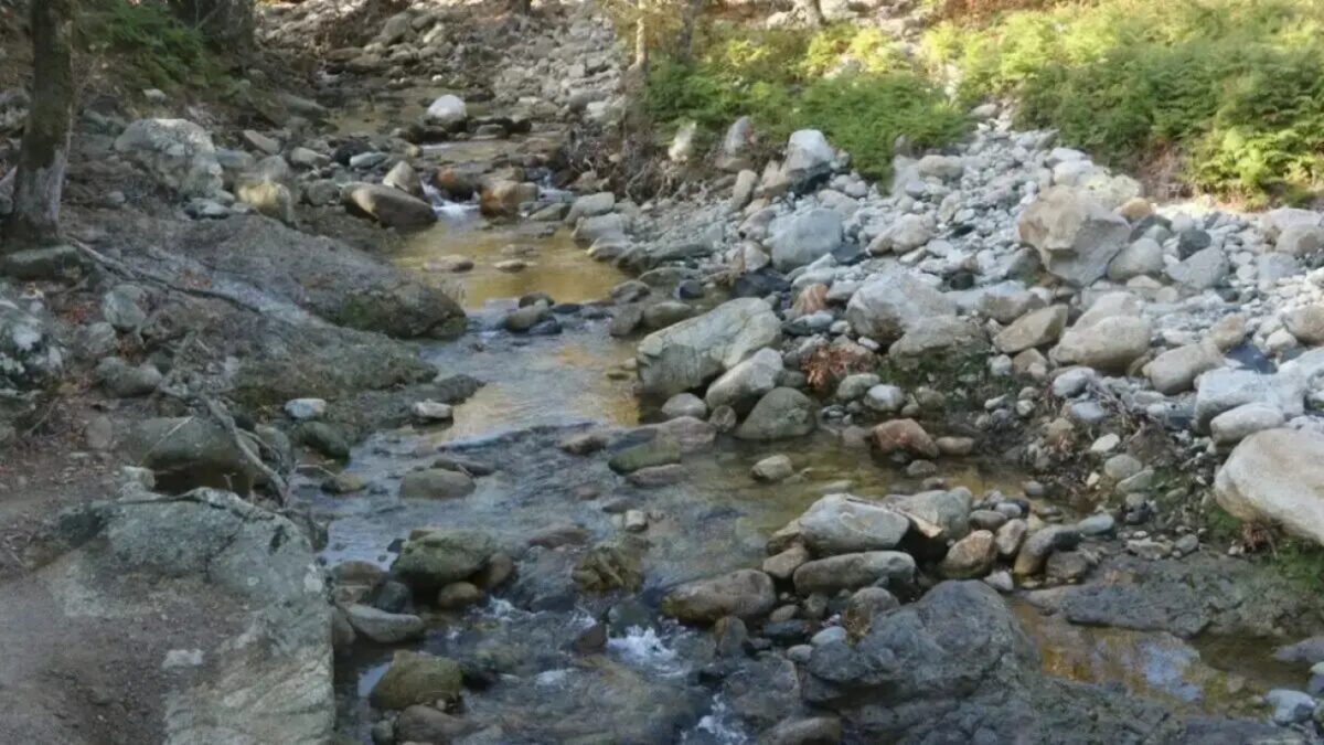 faraggi-1200x675-1-1200x675