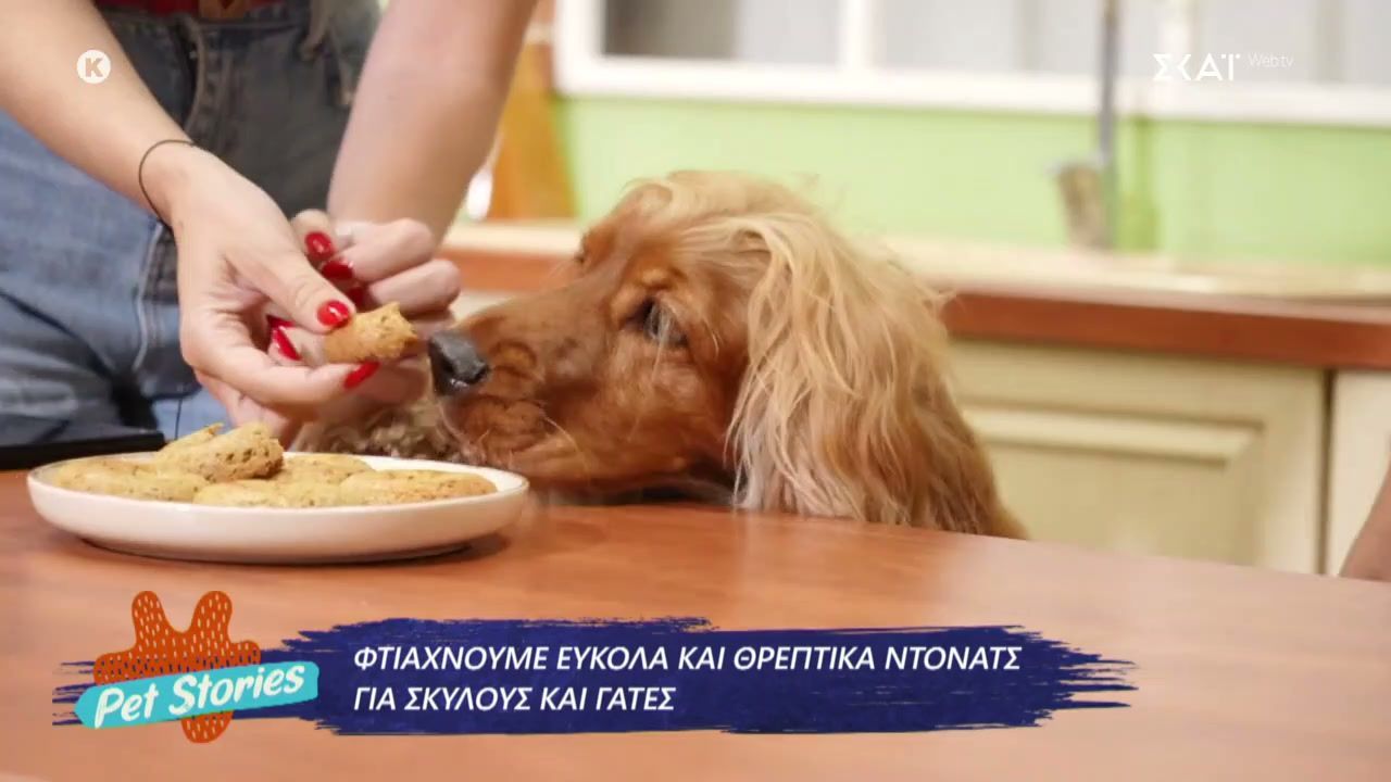 ftiachnoyme-eykola-kai-threptika-ntonats-gia-skyloys-kai-gates-1765019191