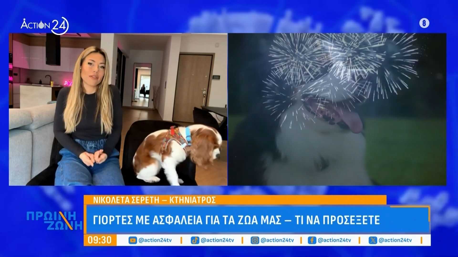Γιορτές με ασφάλεια για τα ζώα μας – Τι να προσέξετε