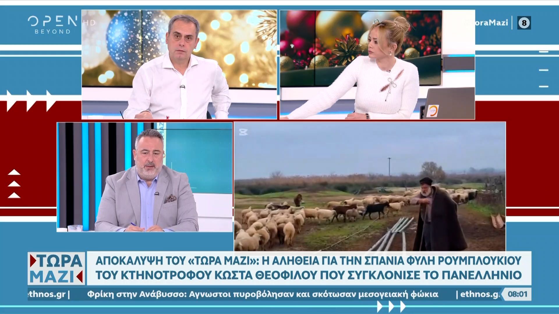 i-alitheia-gia-tin-spania-fyli-roymloykioy-1765609167