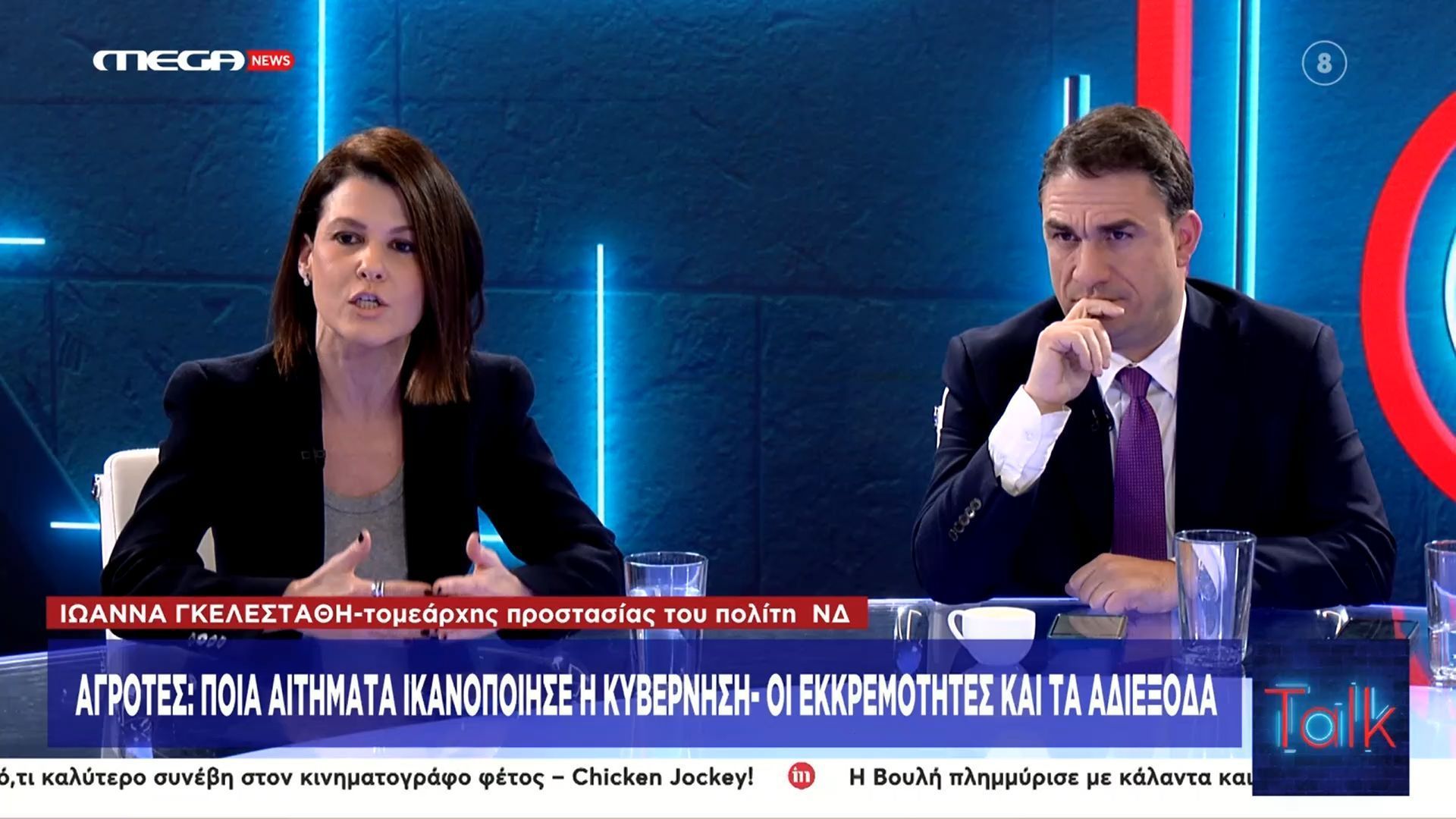 Ι. Γκελεστάθη: «Η ΑΑΔΕ εγγυάται ότι δεν θα έχουμε τα παρατράγουδα του ΟΠΕΚΕΠΕ»