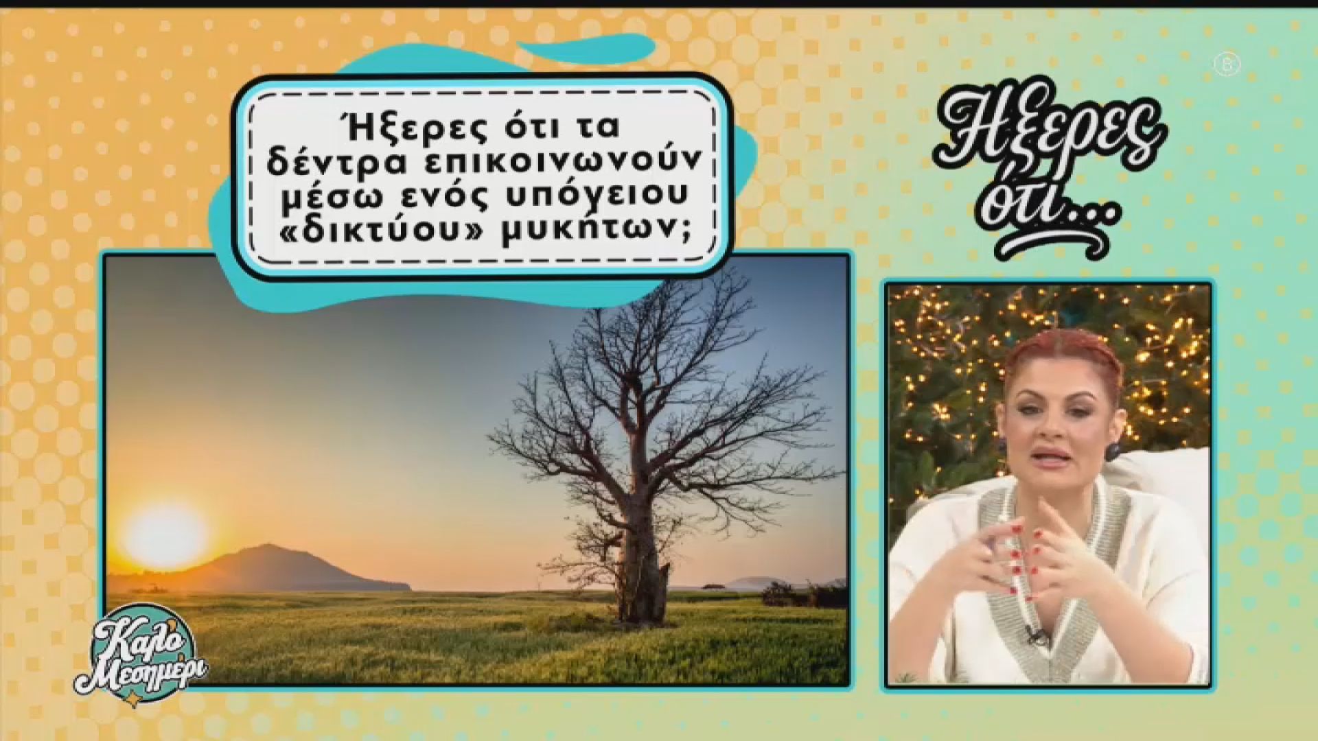 Ήξερες ότι…