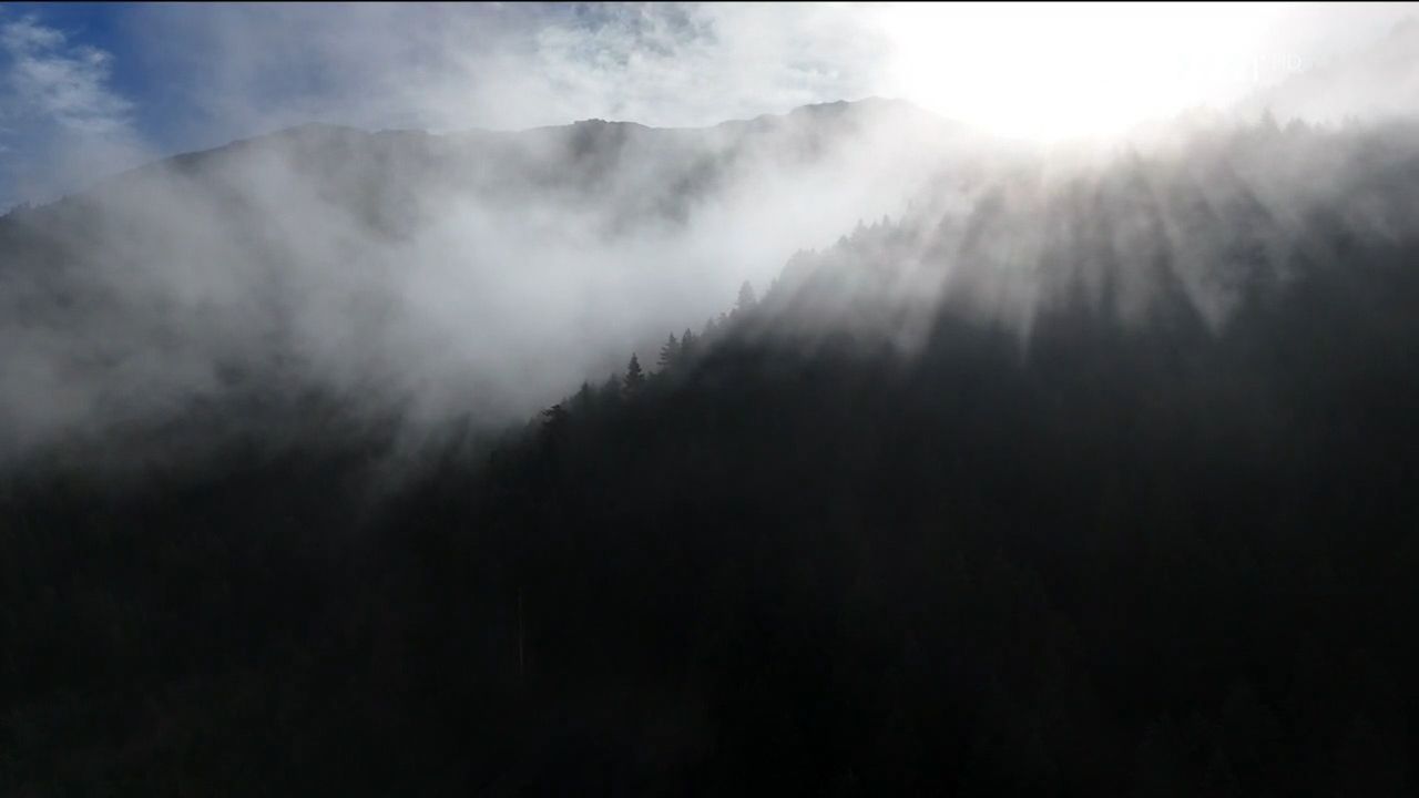 Καλά Νέα | 13/12/2025