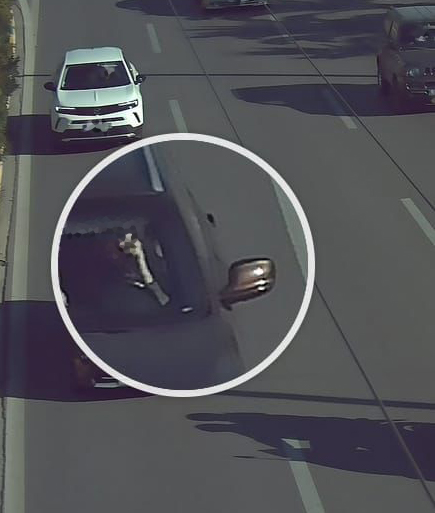 κάμερες τροχαία κλήση