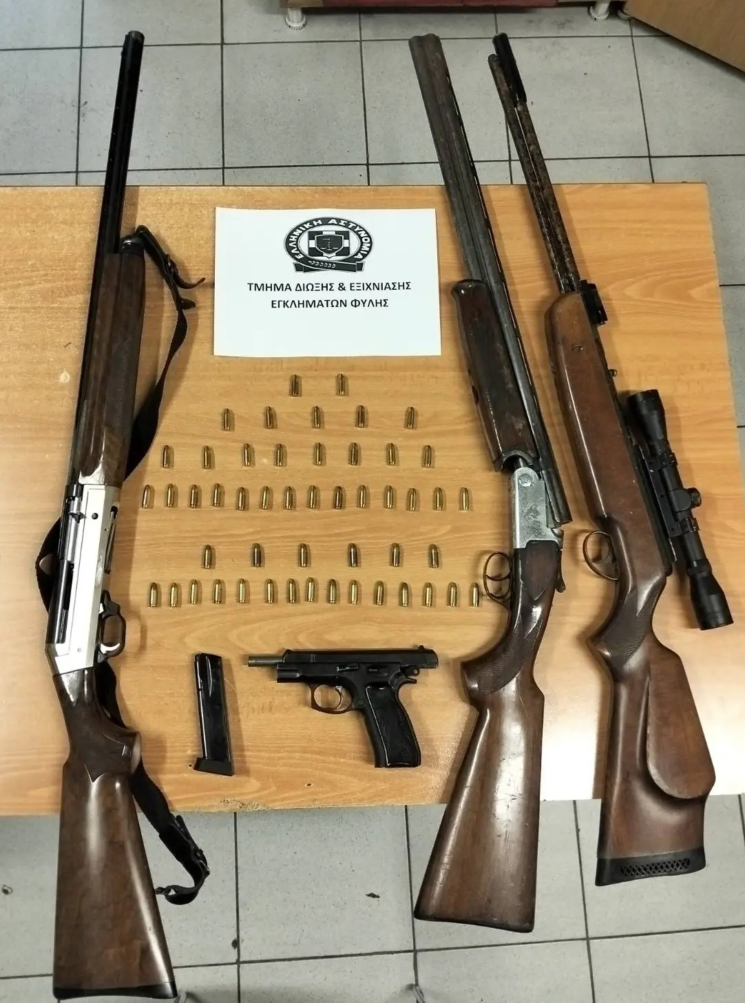 Τα όπλα που βρέθηκαν