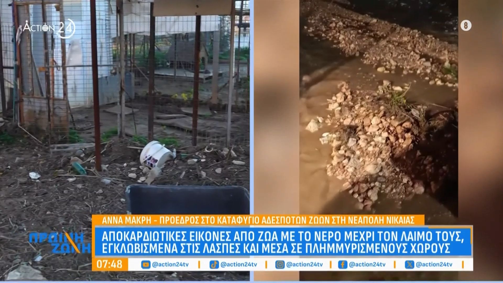 katafygio-adespoton-zoon-neapolis-ypesti-sovari-katastrofi-meta-tin-kakokairia-ekklisi-gia-voitheia-1765434703