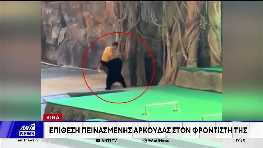 kina-epithesi-peinasmenis-arkoydas-ston-frontisti-tis-1765303653