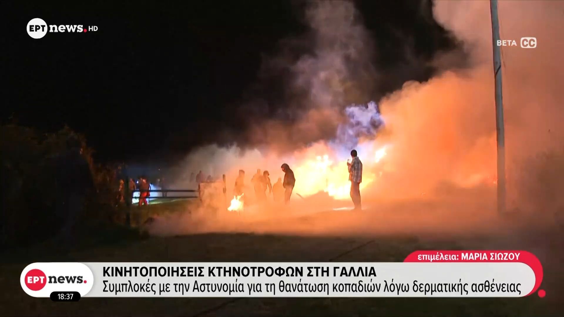 Κινητοποιήσεις κτηνοτρόφων στη Γαλλία: Συμπλοκές με την Αστυνομία για τη θανάτωση κοπαδιών λόγω δερματικής ασθένειας