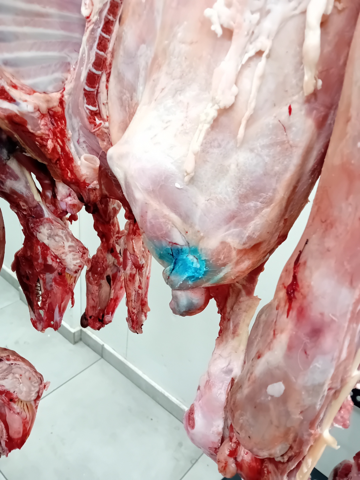 Περιφέρεια Αττικής: Κατασχέθηκαν 12 τόνοι ακατάλληλων προϊόντων – «Μηδενική ανοχή σε επικίνδυνα παιχνίδια με την υγεία», δηλώνει ο Χαρδαλιάς