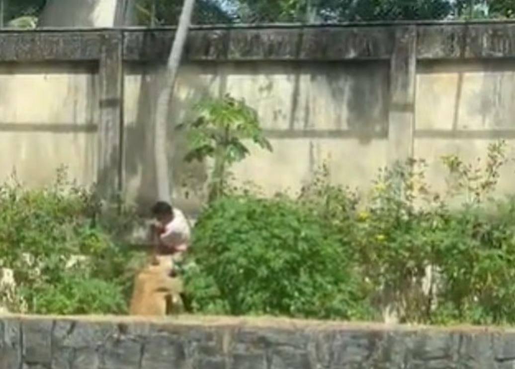 Σοκαριστικό βίντεο: Λιοντάρι καταβρόχθισε 19χρονο σε ζωολογικό κήπο – Παραβίασε τον φράχτη και μπήκε στο κλουβί 4 Σοκαριστικό βίντεο: Λιοντάρι καταβρόχθισε 19χρονο σε ζωολογικό κήπο – Παραβίασε τον φράχτη και μπήκε στο κλουβί